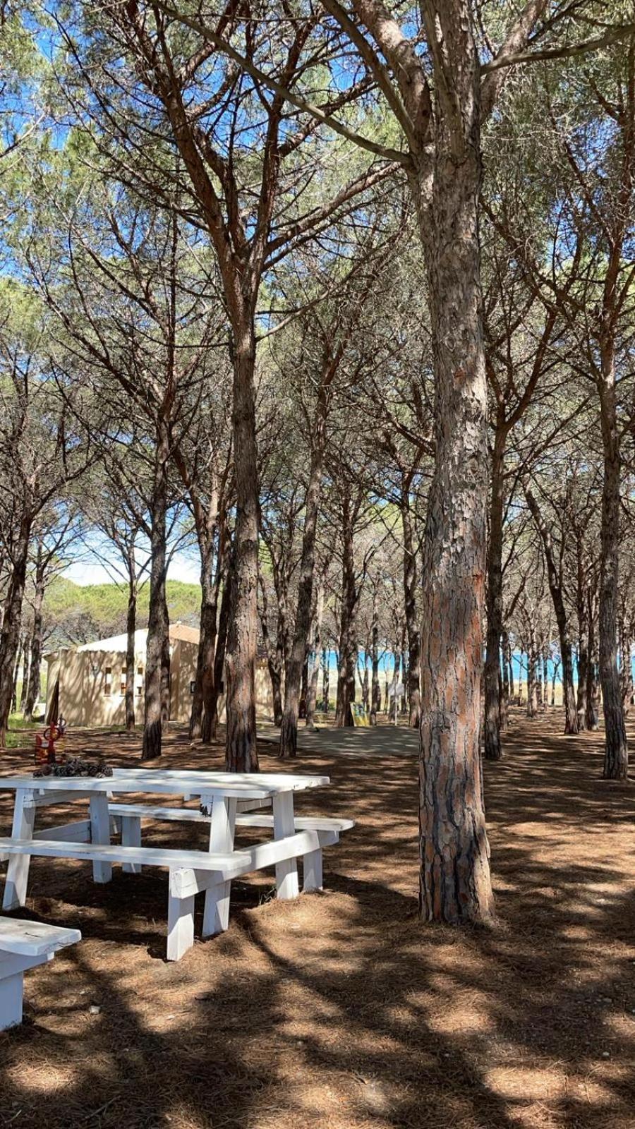 Sorres De Mare Villa Budoni Bagian luar foto