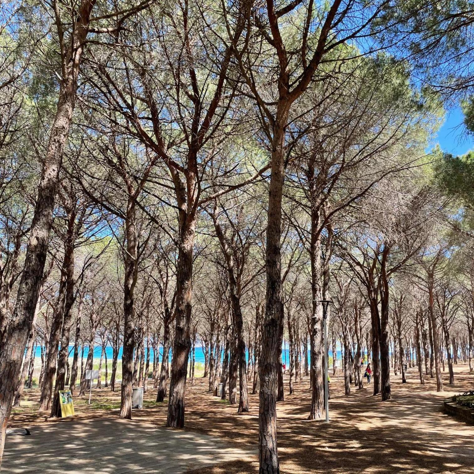 Sorres De Mare Villa Budoni Bagian luar foto