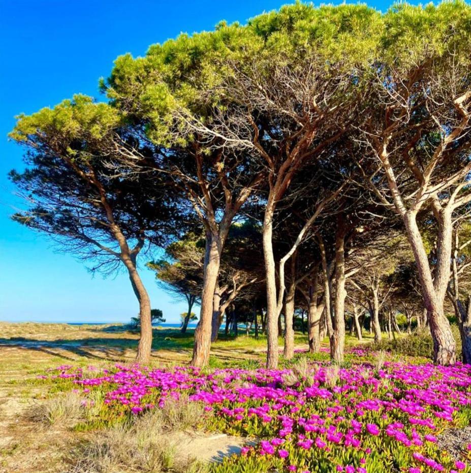 Sorres De Mare Villa Budoni Bagian luar foto
